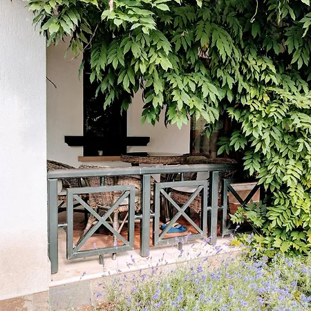 Oasis Resort&spa 1 Bed Ani 1st Floor Lozenec